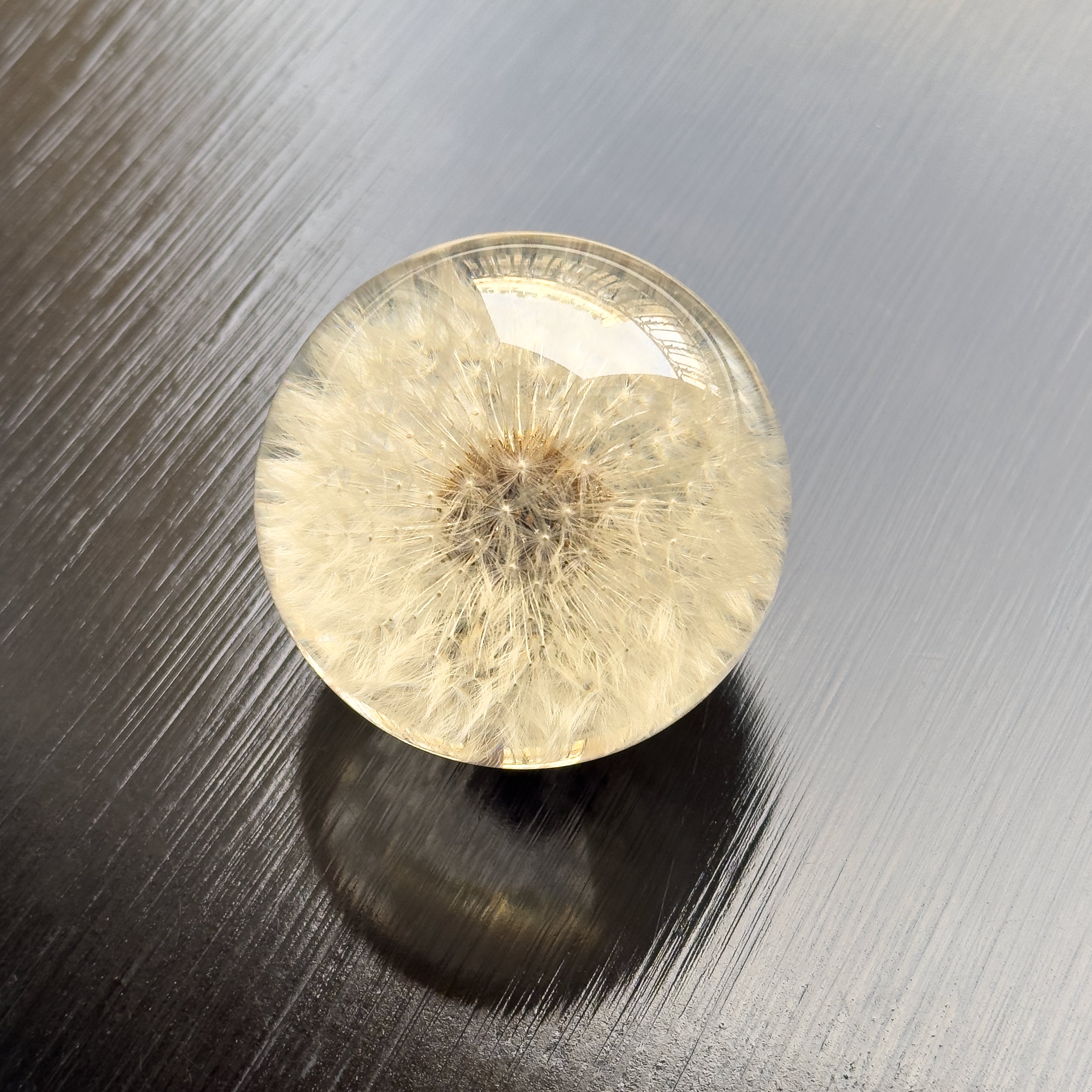 Dandelion Paperweight — Hand-Cast Resin by Hafod Grange, England