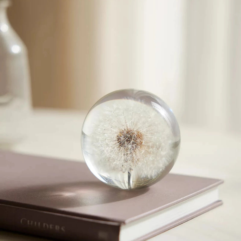 Dandelion Paperweight