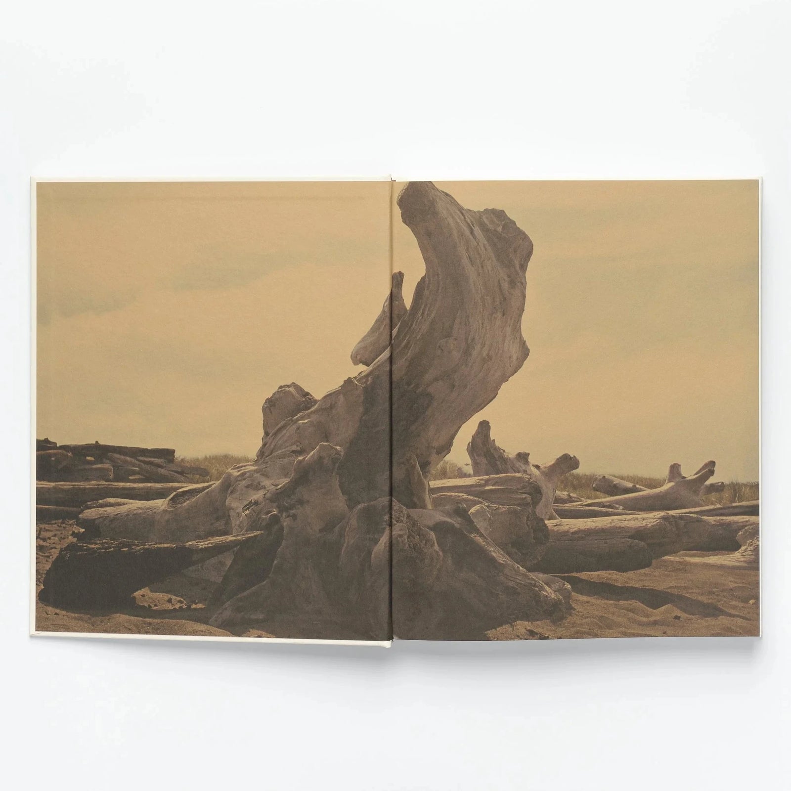 JB Blunk Monograph | Sculpture, Ceramics & Furniture Book – Wms&Co.
