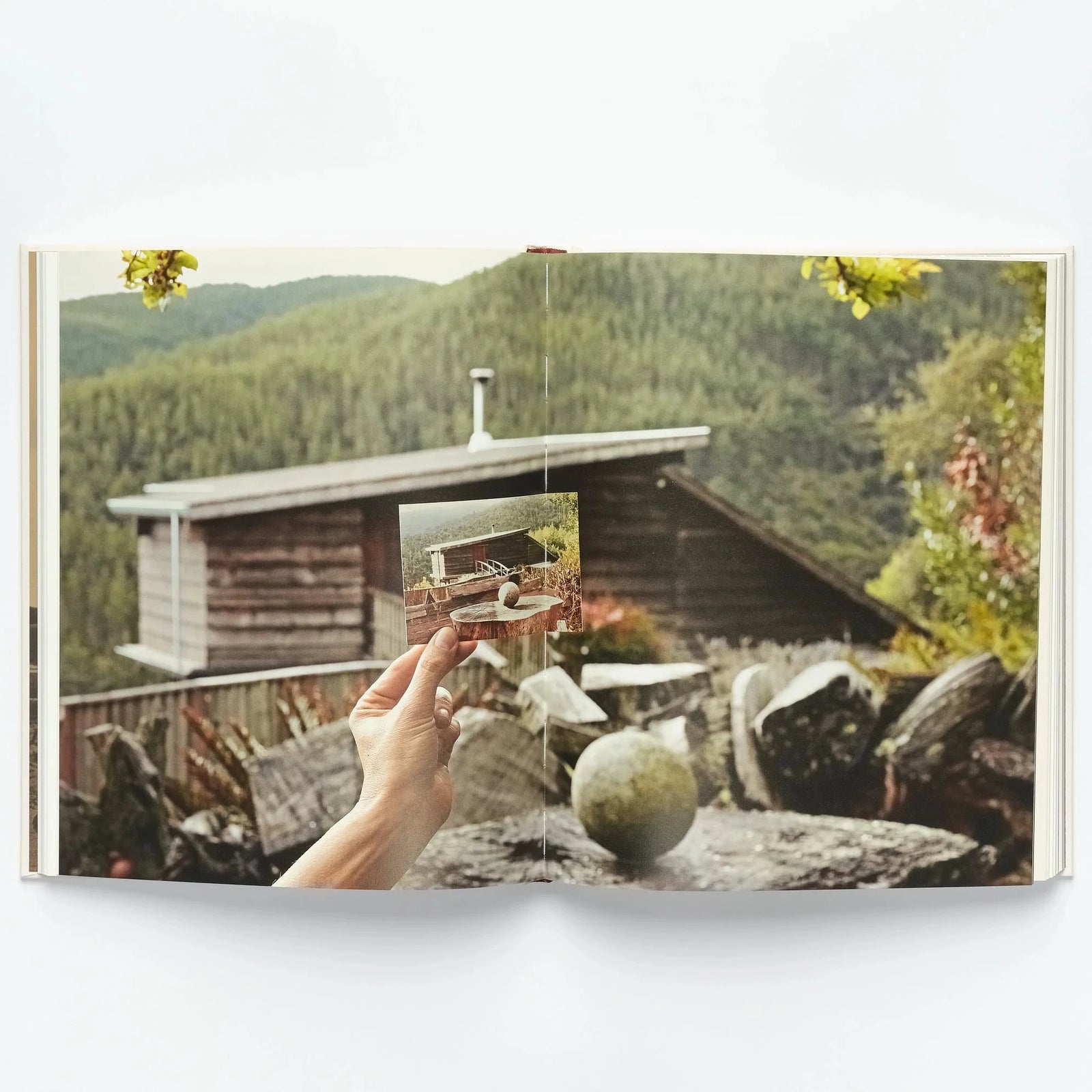 JB Blunk Monograph | Sculpture, Ceramics & Furniture Book – Wms&Co.
