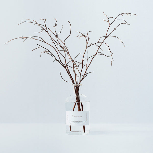 Forest Bathing Diffuser: Himeshara Branches - Wms&Co.