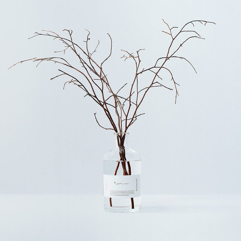 Forest Bathing Diffuser: Himeshara Branches - Wms&Co.