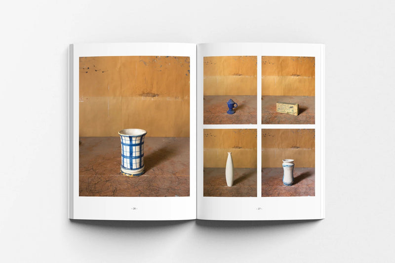 Morandi's Objects by Joel Meyerowitz | Expanded Edition – Wms&Co.