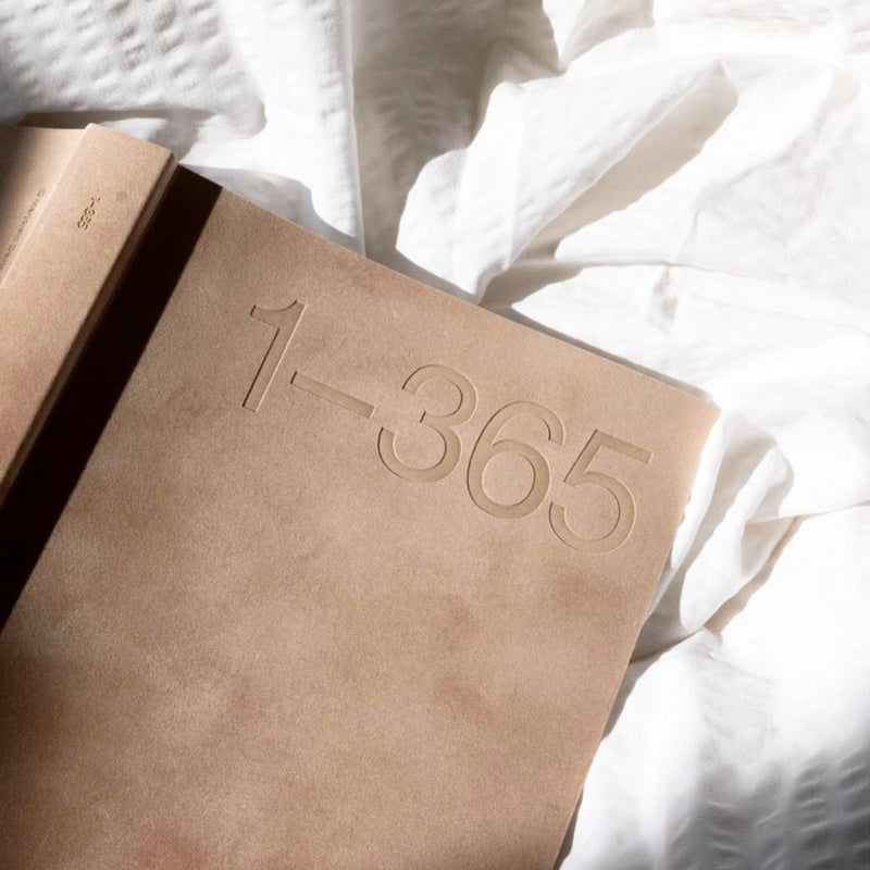 Limited Edition Journal 365: Blush Velvet - Wms&Co.