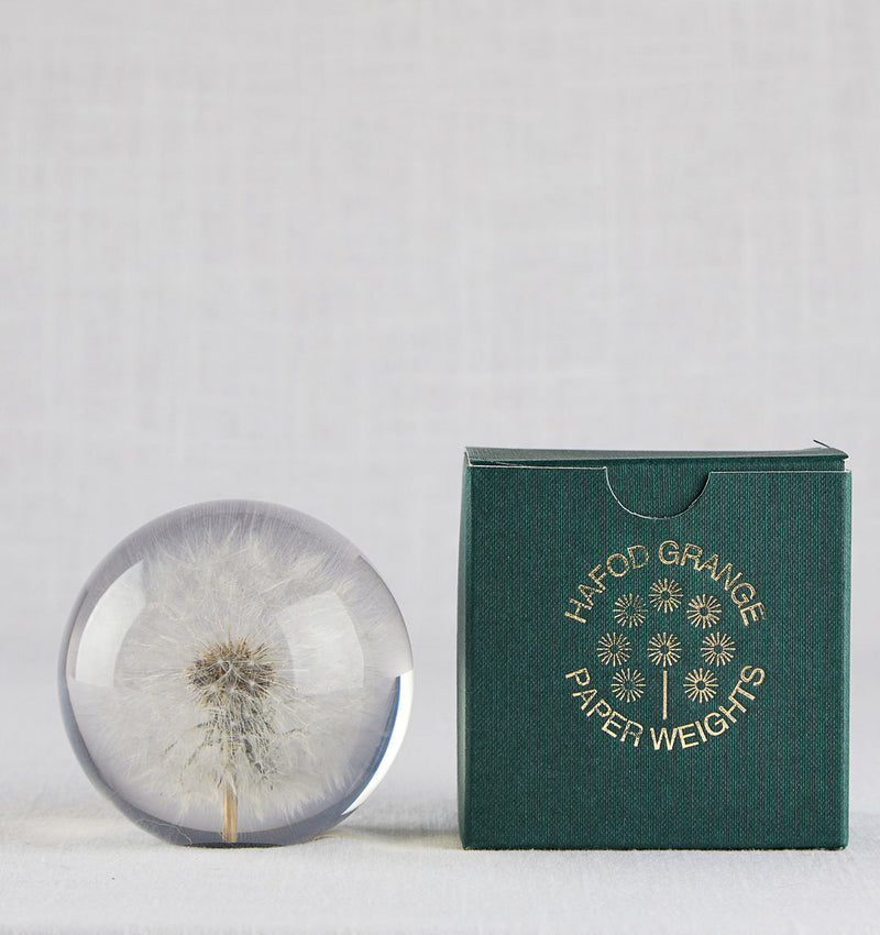 Dandelion Paperweight
