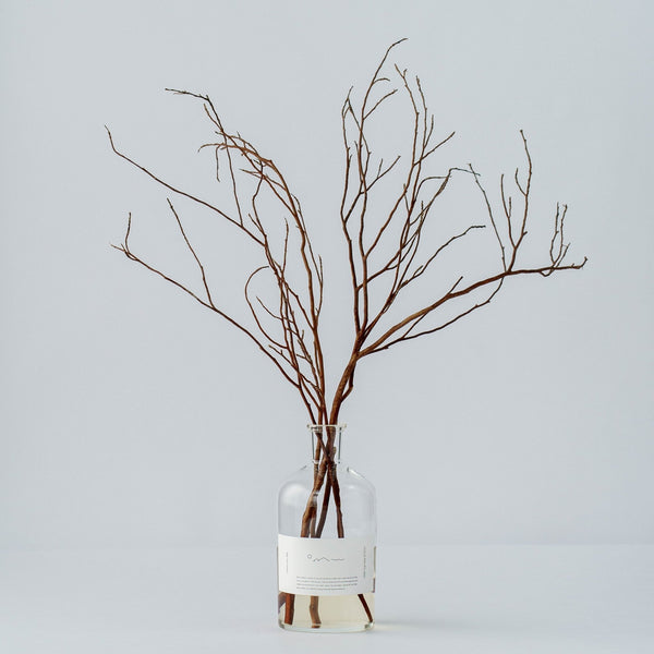 Forest Bathing Diffuser: Himeshara Branches - Wms&Co.