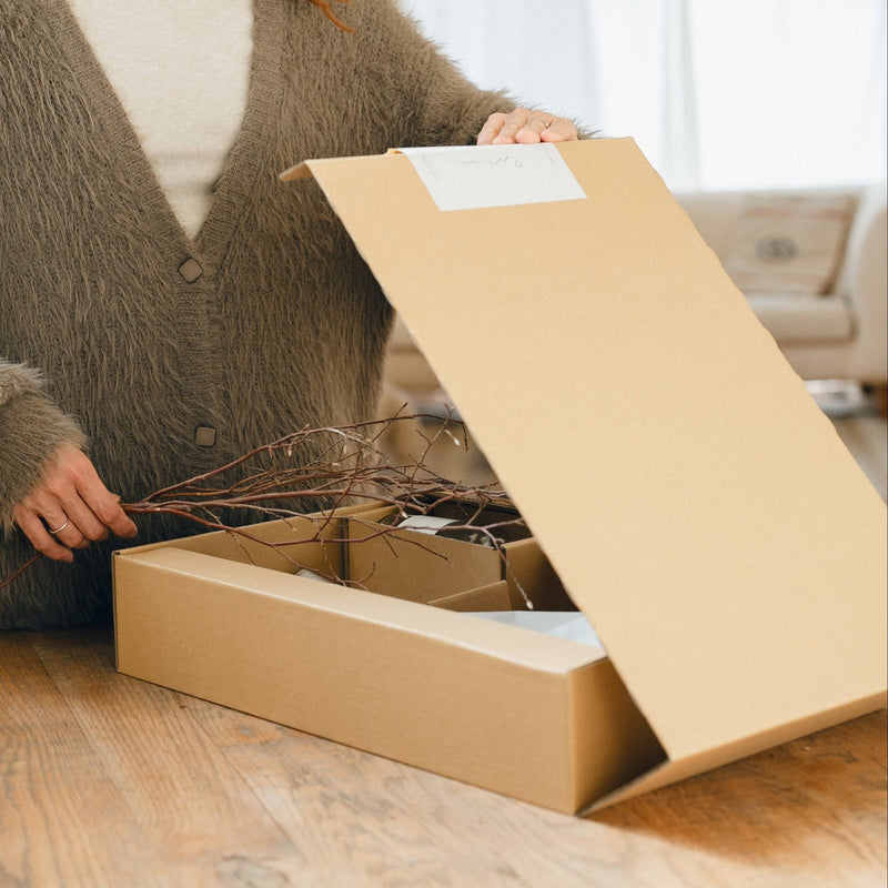 Forest Bathing Diffuser: Himeshara Branches - Wms&Co.