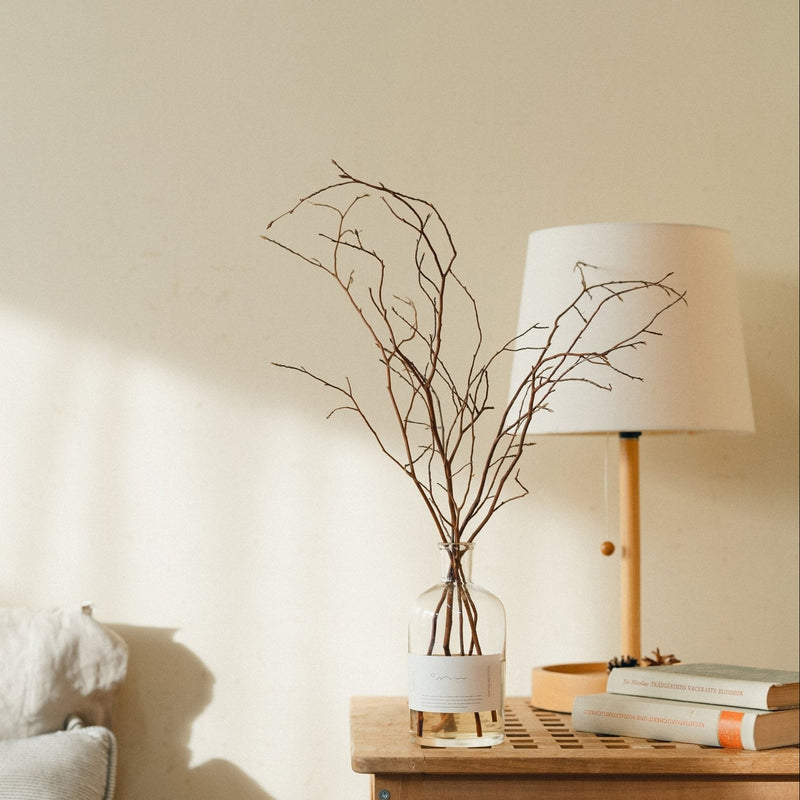 Forest Bathing Diffuser: Himeshara Branches - Wms&Co.