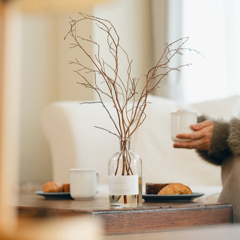Forest Bathing Diffuser: Himeshara Branches - Wms&Co.