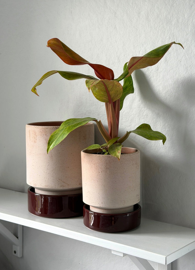 Hoff Planters: Warm and Cool Colorways - Wms&Co.