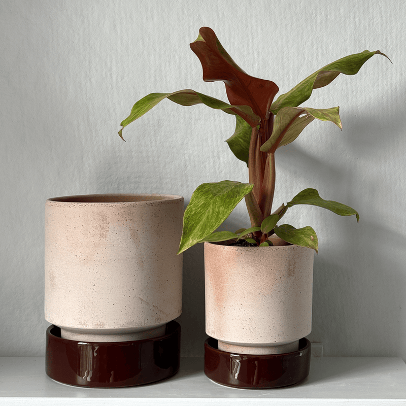Hoff Planters: Warm and Cool Colorways - Wms&Co.