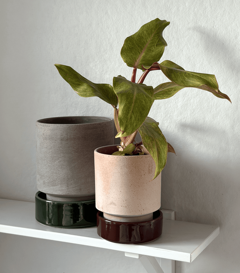 Hoff Planters: Warm and Cool Colorways - Wms&Co.