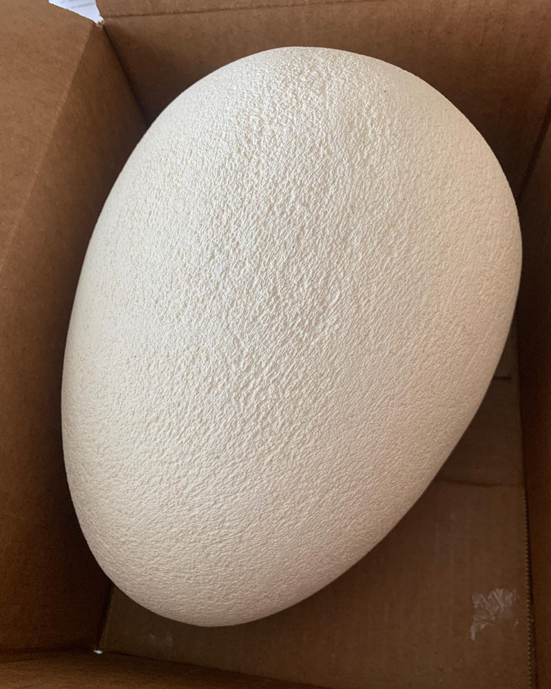 Ōamaru Limestone Egg - Wms&Co.