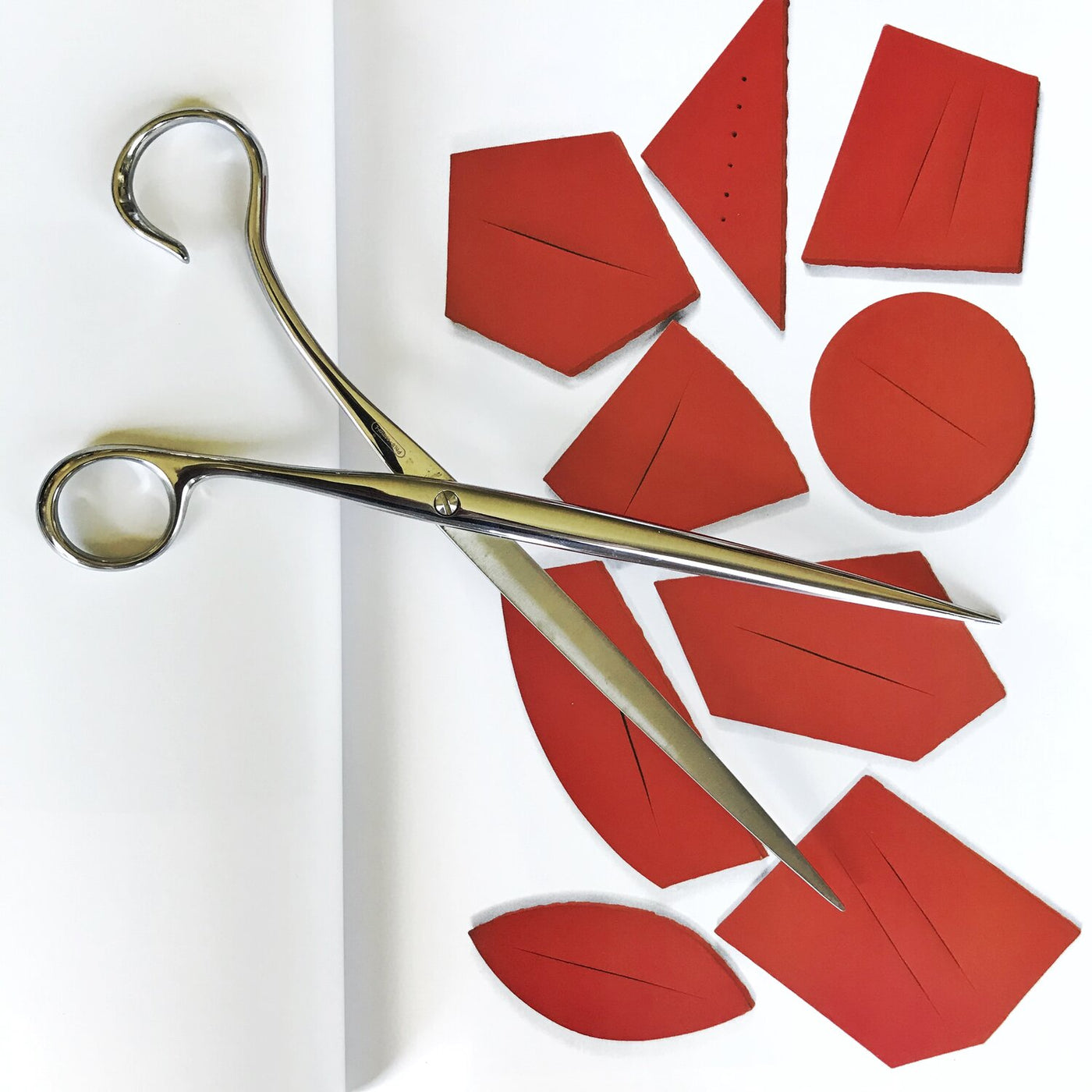Campi Neto Scissors – Wms&Co.