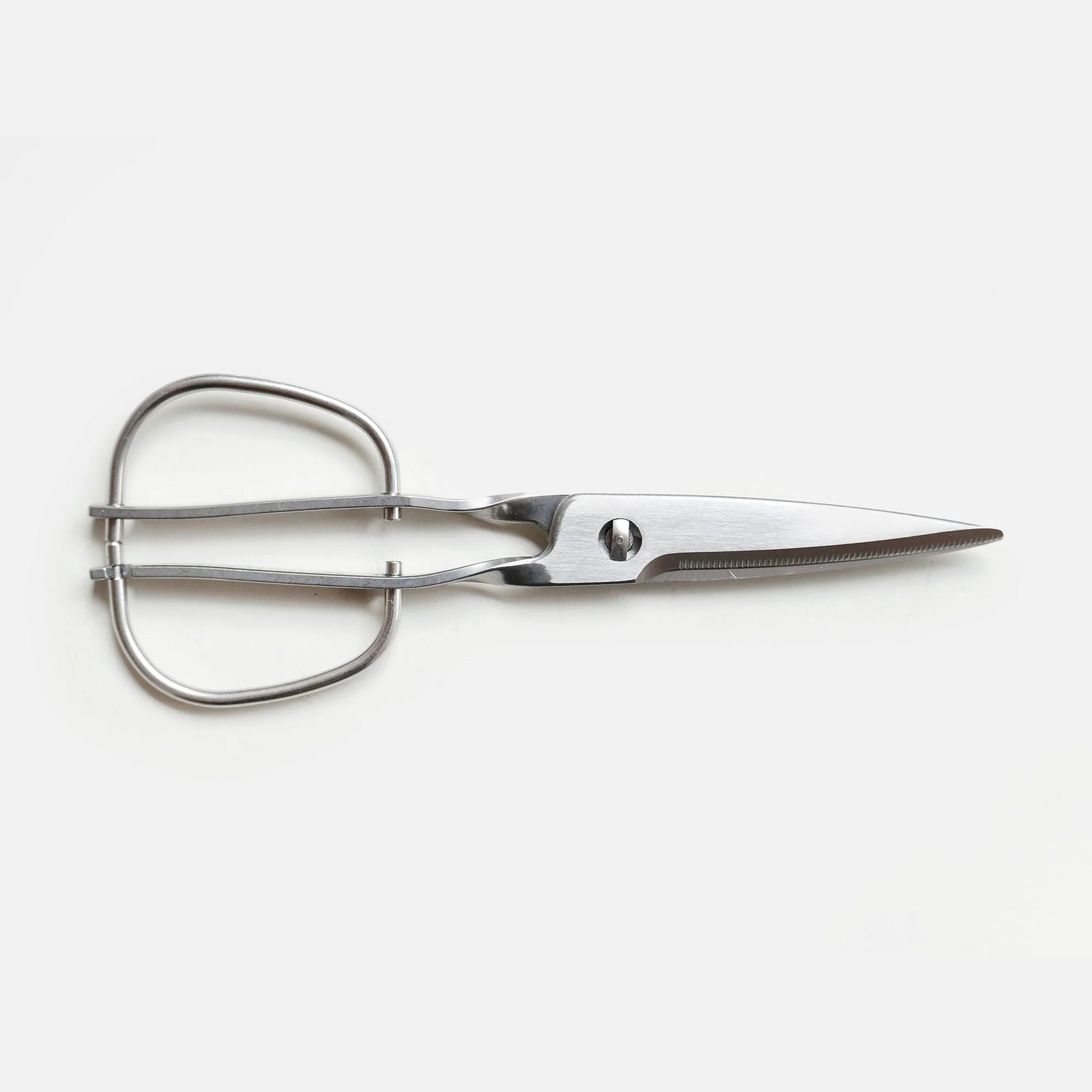 Coghlan's Folding Scissors Model 7600 – Stainless Steel – Compact Camping Gear